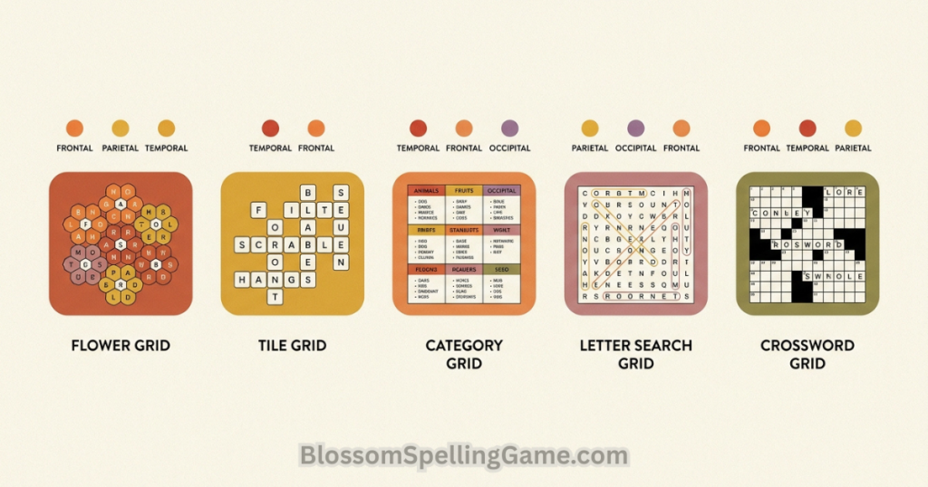 How Word Games Help Your Brain Infographic comparing five different word games and which brain systems each one engages most heavily